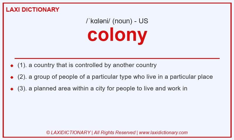 Definition colony in American English