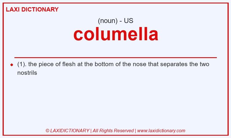 Definition columella in American English