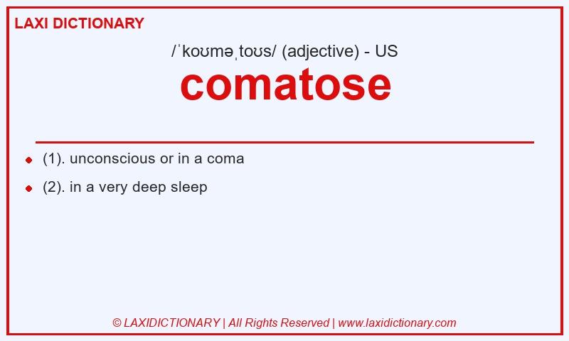 Definition comatose in American English