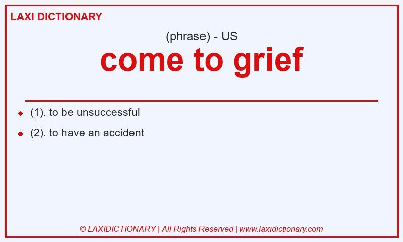 Definition come to grief in American English