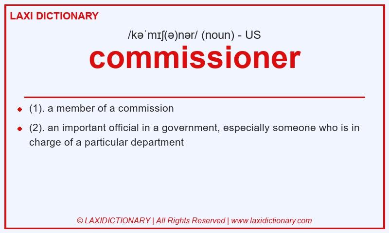 Definition commissioner in American English