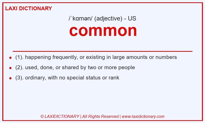 Definition common in American English