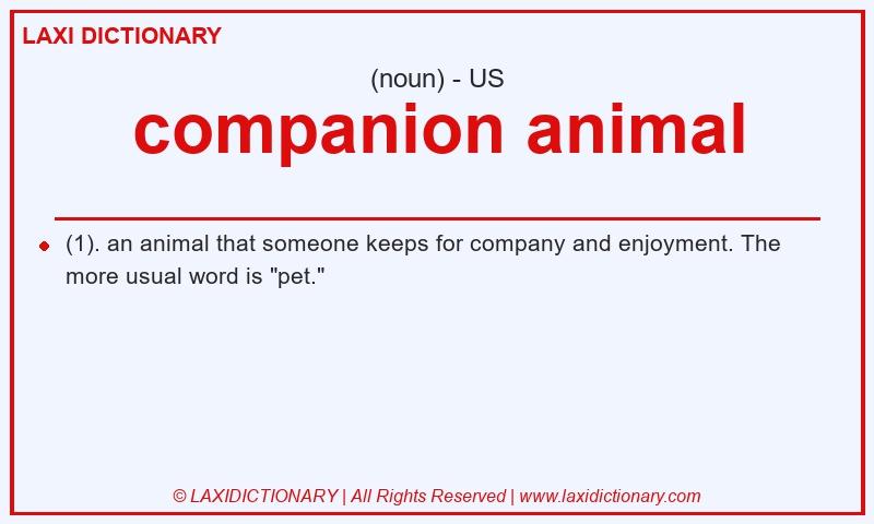 Definition companion animal in American English