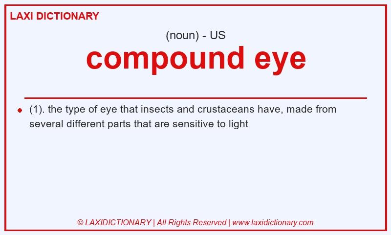 Definition compound eye in American English