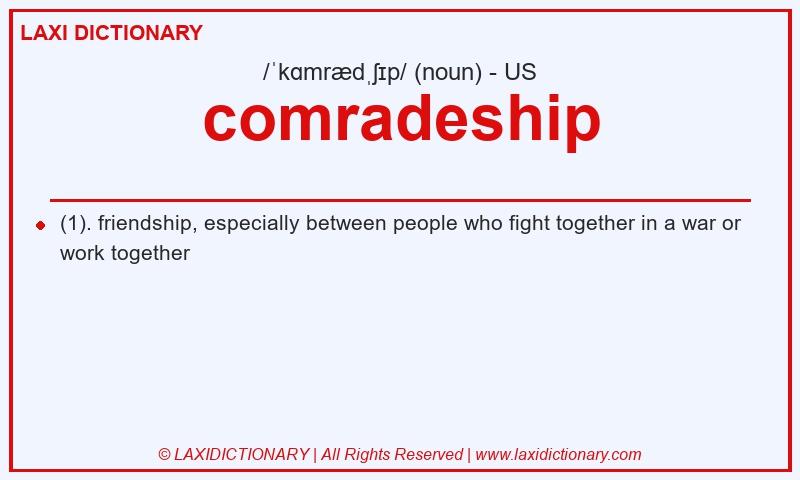 Definition comradeship in American English