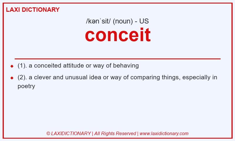 Definition conceit in American English