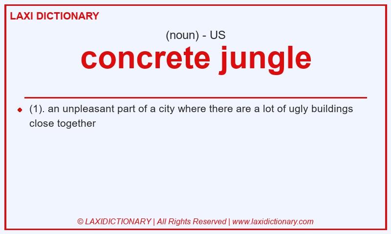 Definition concrete jungle in American English