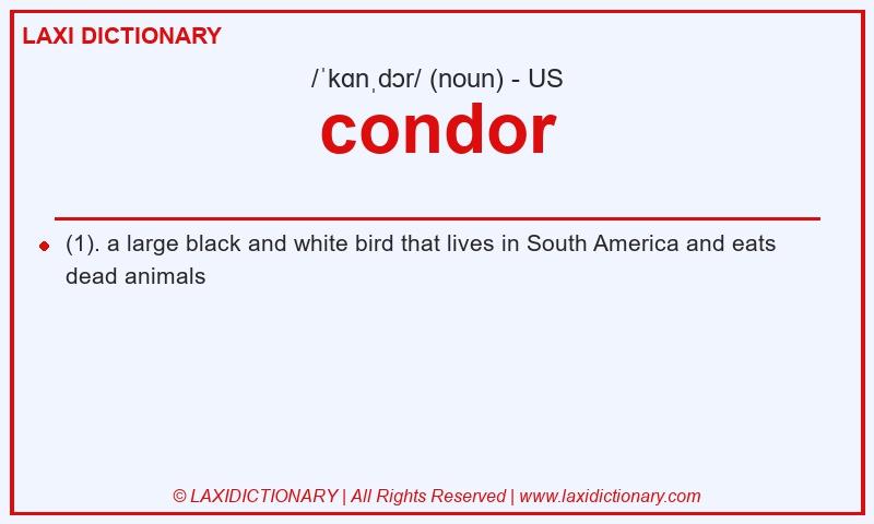 Definition condor in American English