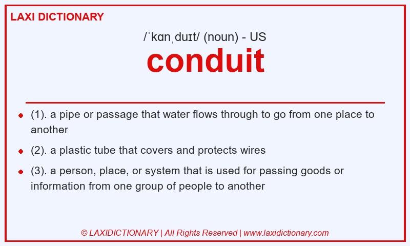 Definition conduit in American English