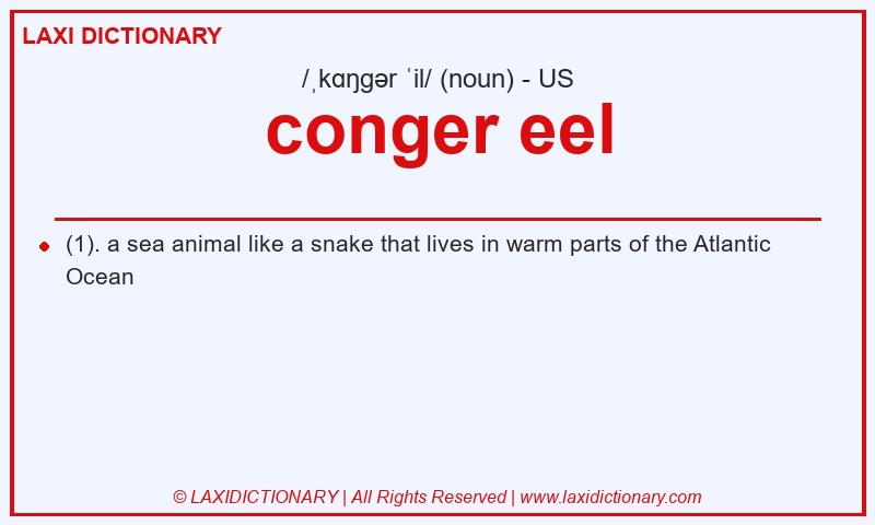 Definition conger eel in American English