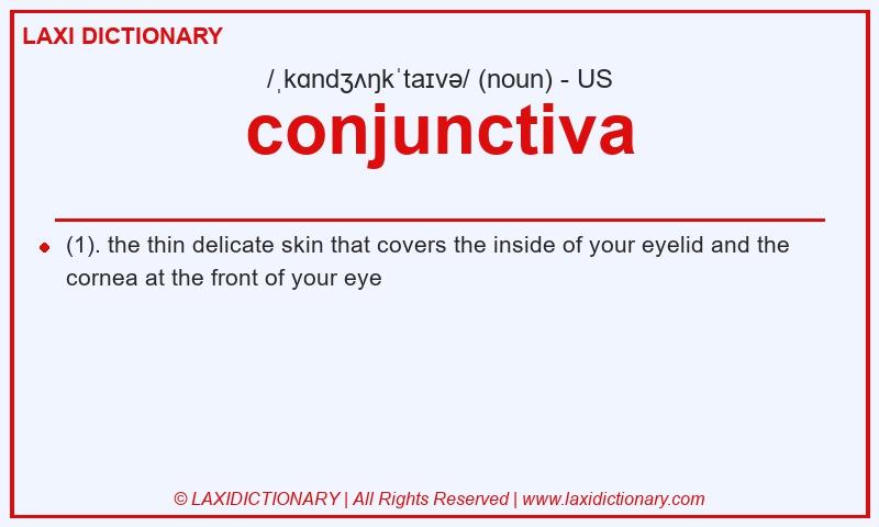 Definition conjunctiva in American English