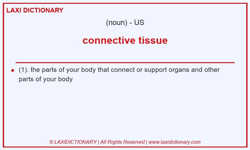 Definition connective tissue in American English