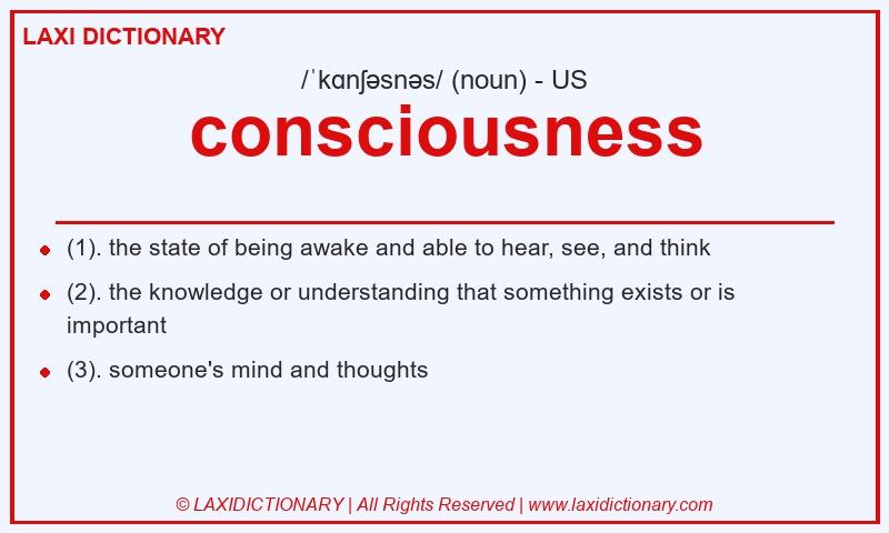 Definition consciousness in American English