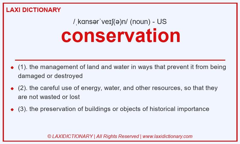Definition conservation in American English