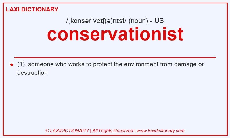 Definition conservationist in American English
