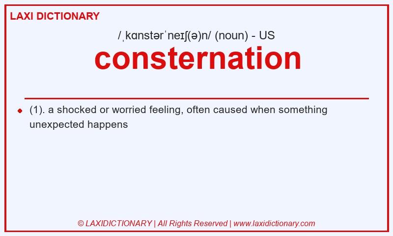 Definition consternation in American English