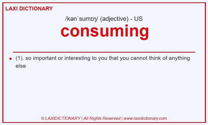 Definition consuming in American English