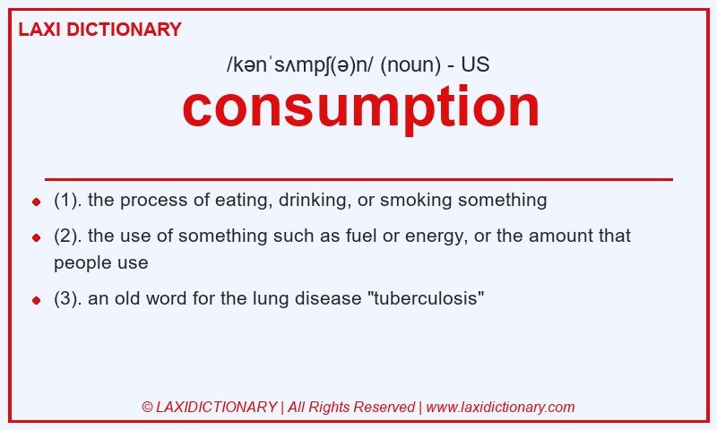 Definition consumption in American English
