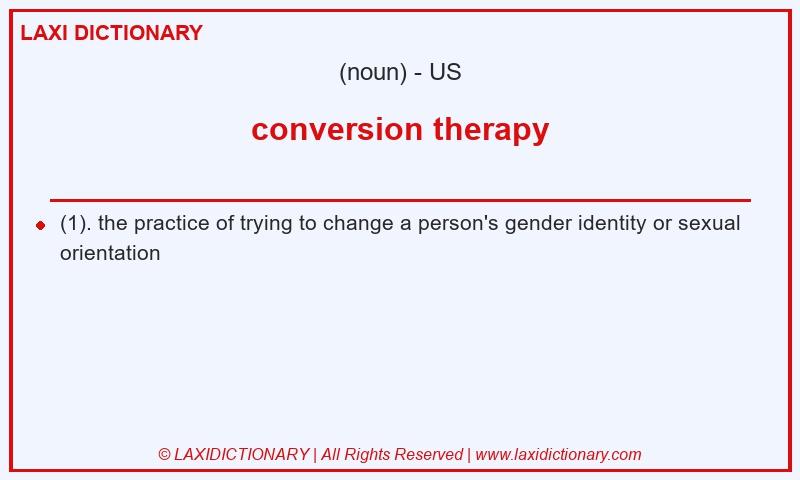 Definition conversion therapy in American English