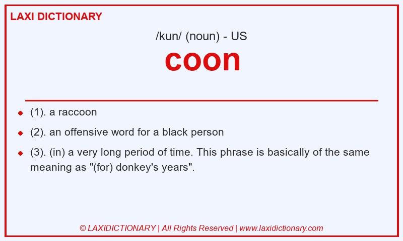 Definition coon in American English