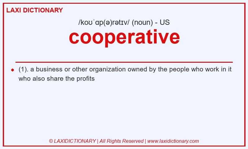 Definition cooperative in American English