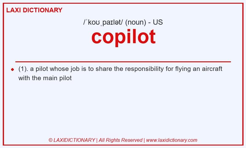 Definition copilot in American English