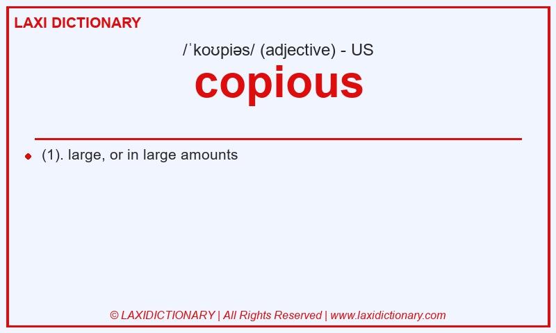 Definition copious in American English