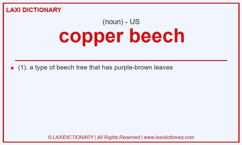 Definition copper beech in American English