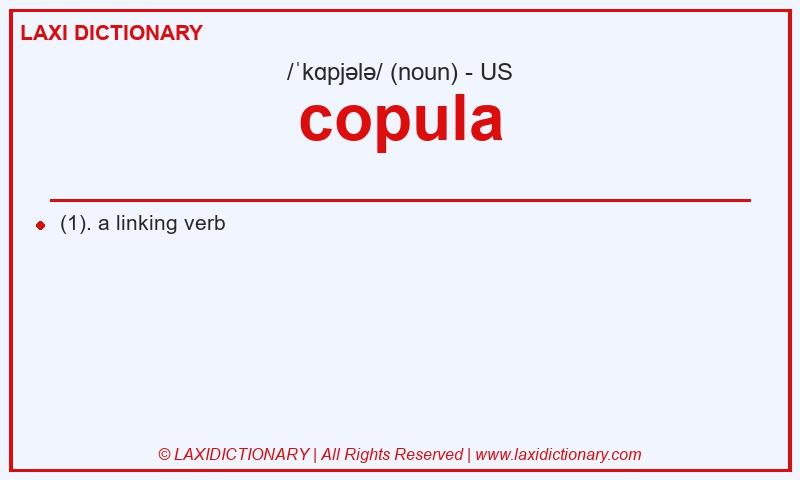Definition copula in American English