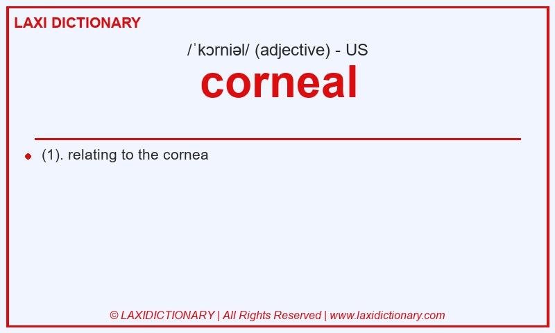 Definition corneal in American English
