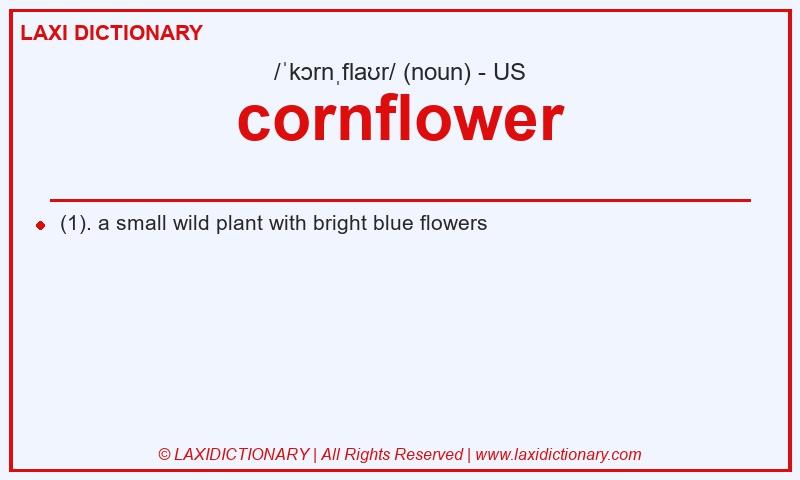 Definition cornflower in American English