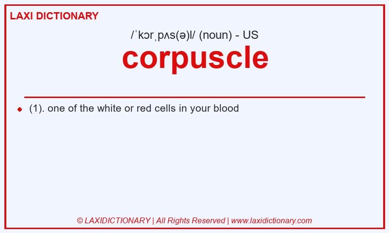 Definition corpuscle in American English
