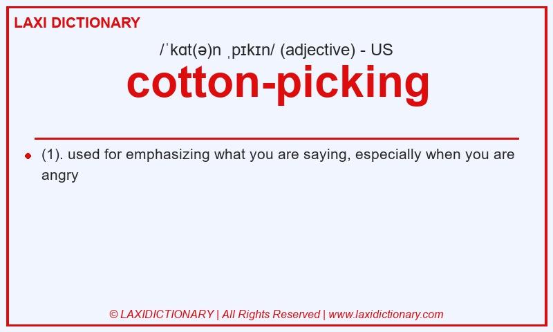 Definition cotton-picking in American English