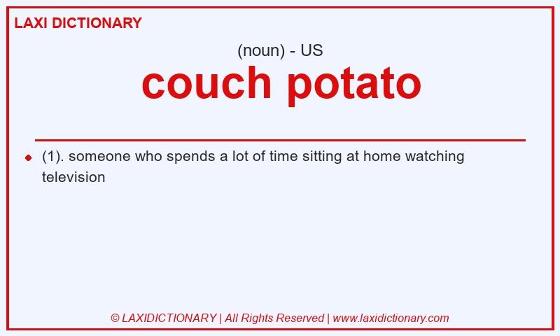 Definition couch potato in American English