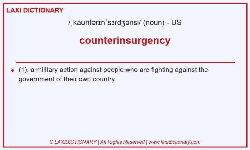 Definition counterinsurgency in American English