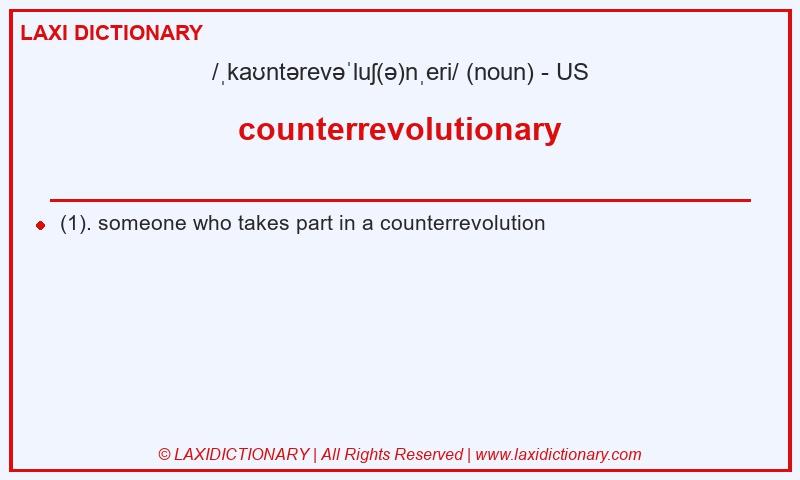 Definition counterrevolutionary in American English
