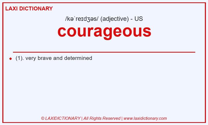 Definition courageous in American English
