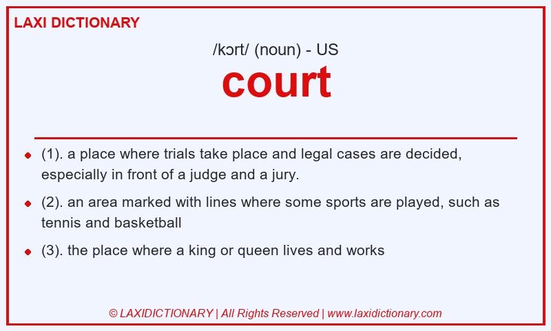 Definition court in American English