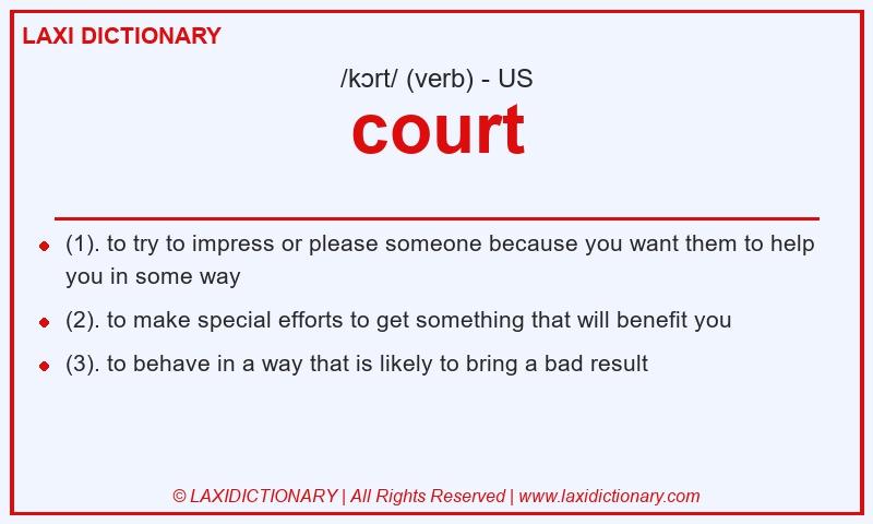 Definition court in American English