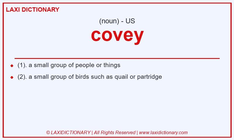 Definition covey in American English