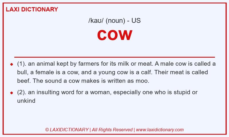 Definition cow in American English