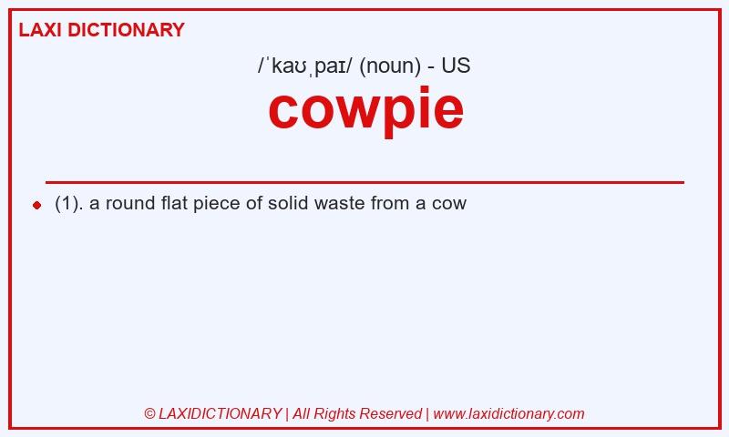 Definition cowpie in American English