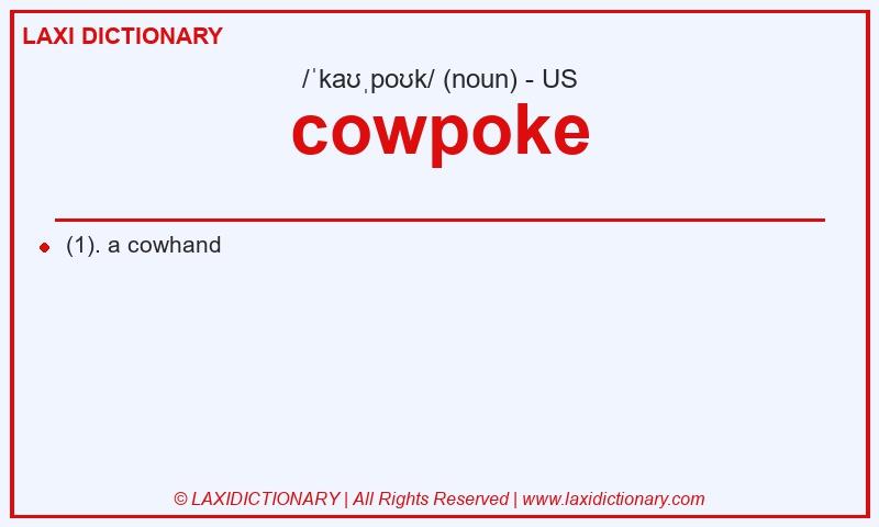 Definition cowpoke in American English