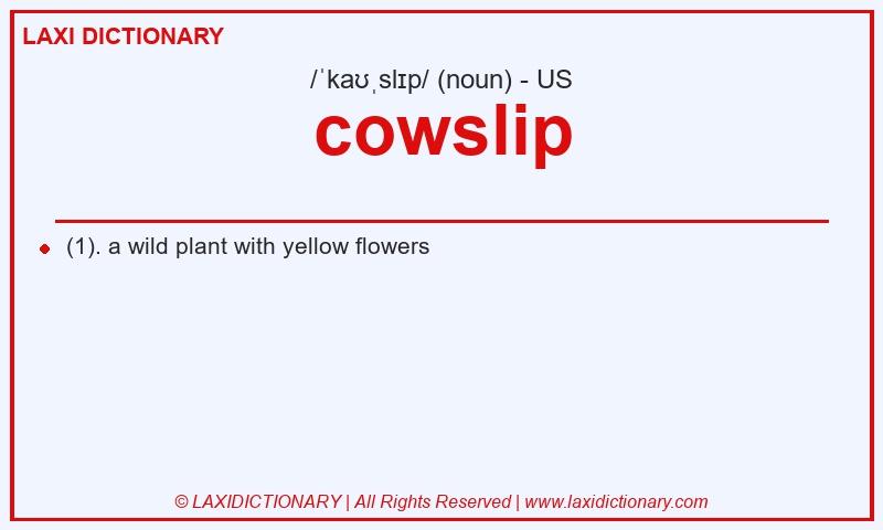 Definition cowslip in American English