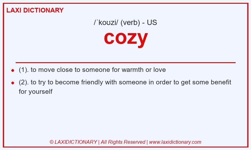 Definition cozy in American English