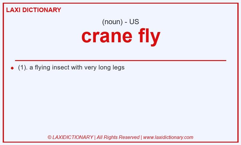 Definition crane fly in American English