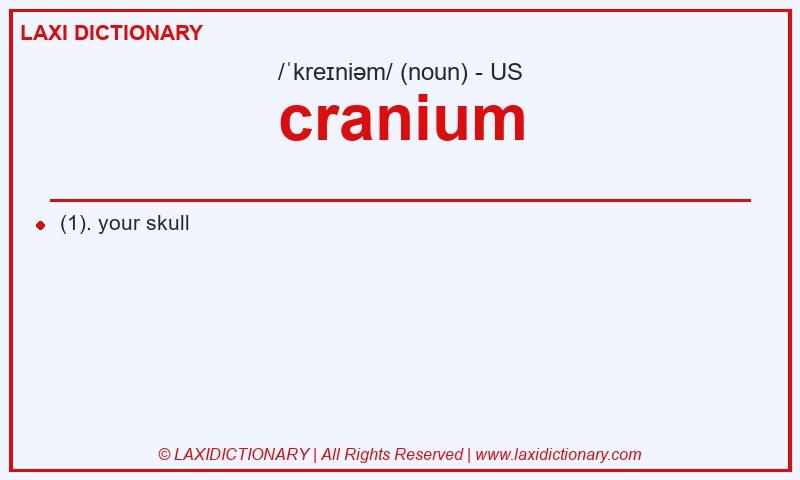 Definition cranium in American English