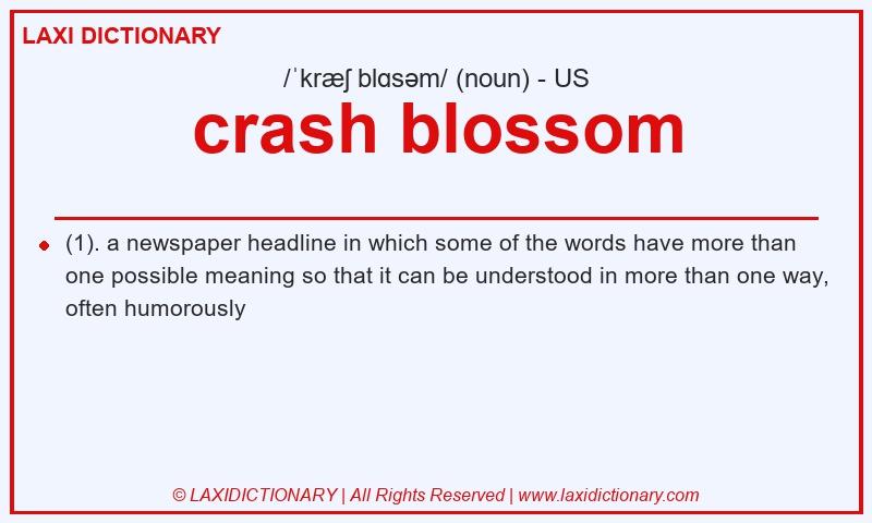 Definition crash blossom in American English