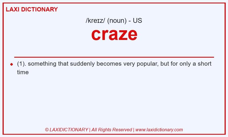 Definition craze in American English