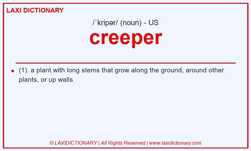 Definition creeper in American English